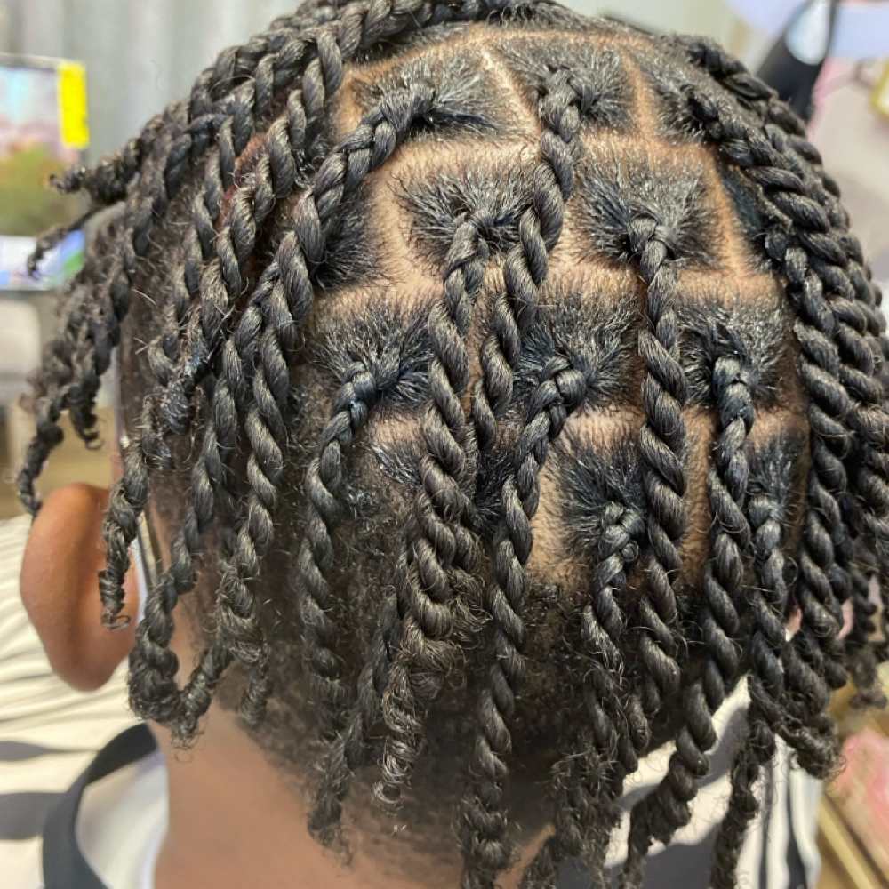 Mens Two Strand Twist at Styles By Kye in Chicago, IL