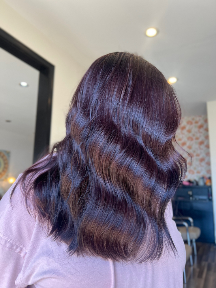 Base Color Refresh at Daxella Salon in Hernando, MS
