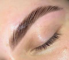 Eyebrow Lamination