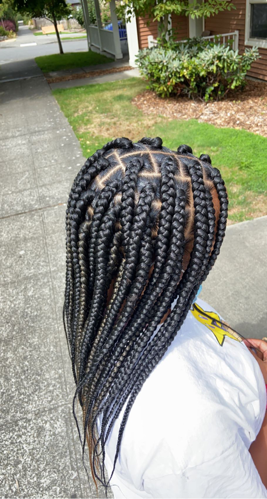 Large Mid Back Box Braids