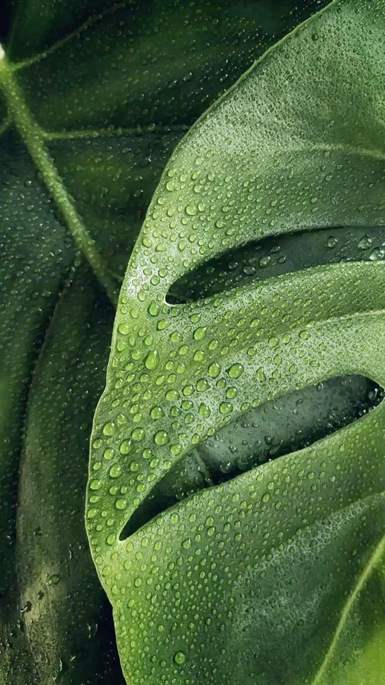 FULL FACE at SLICKED in Lufkin, TX