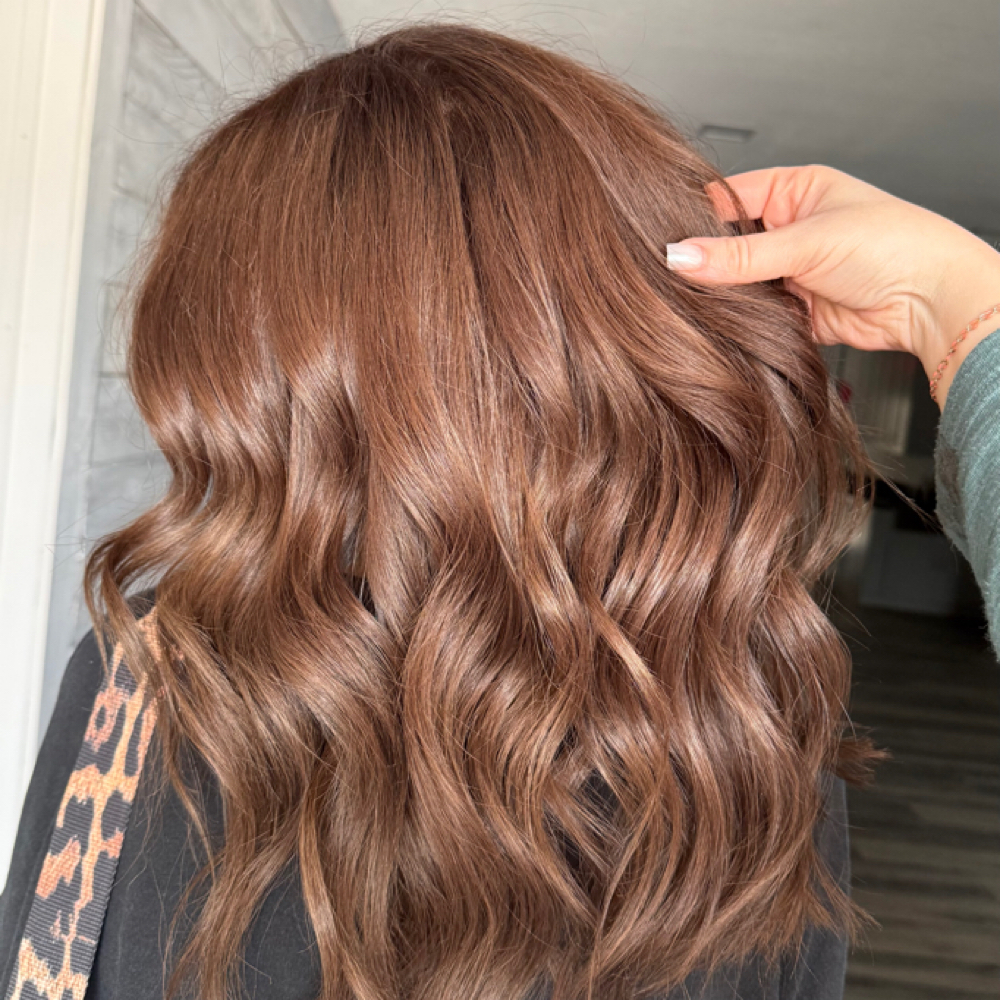 All Over Color! at Hair By Alex in Montgomery, TX