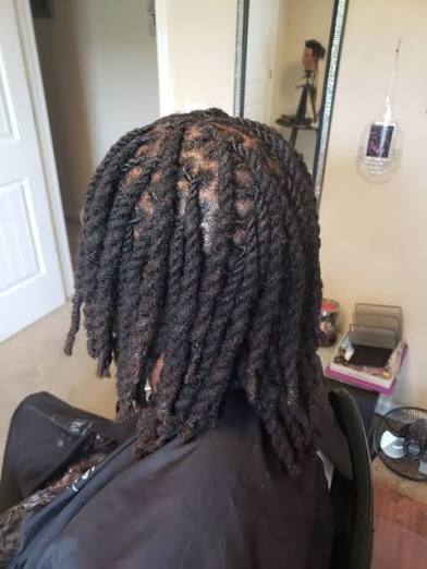 Retwist (2 Strand Twist)