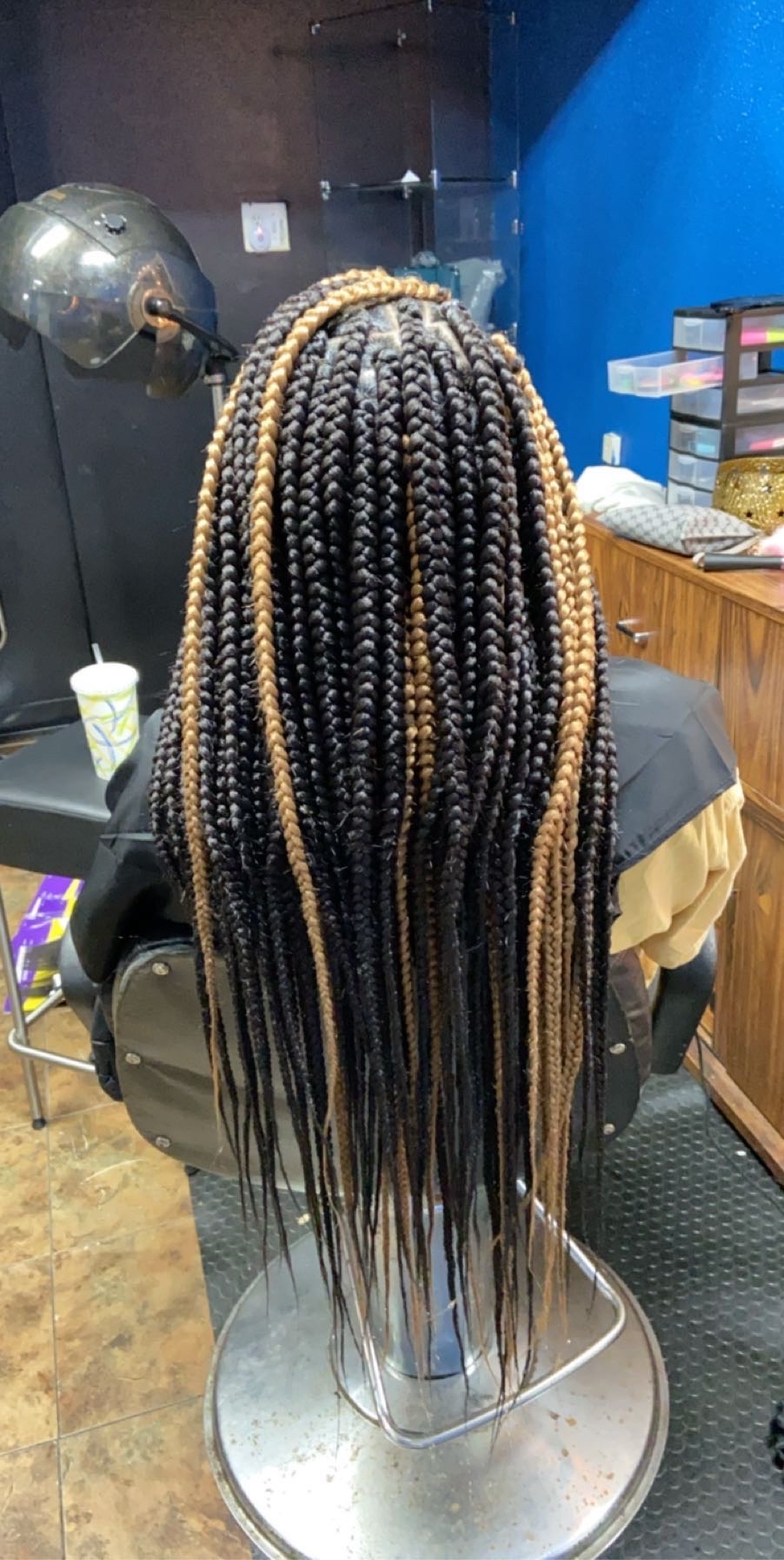 Medium Waist Length Box Braids