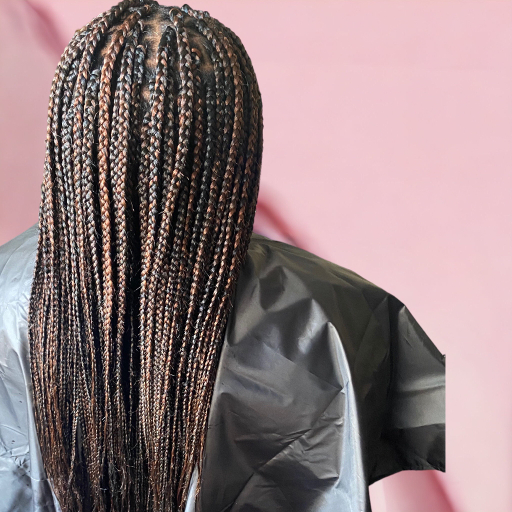 Regular Box Braids (Smedium)