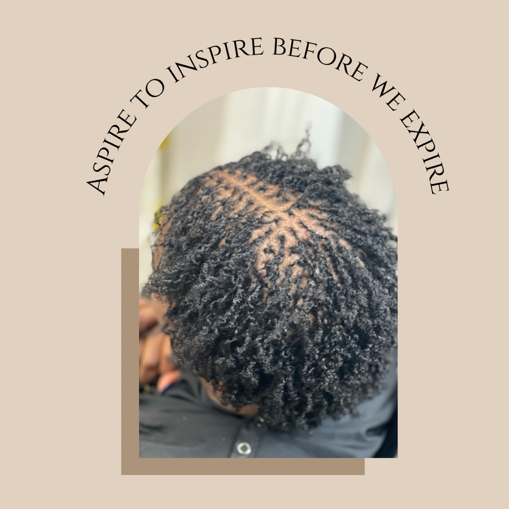 Royal Fullness (260+ Locs )