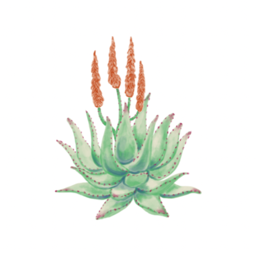 Underarm Wax at Saddle Up Waxing in Burley, ID