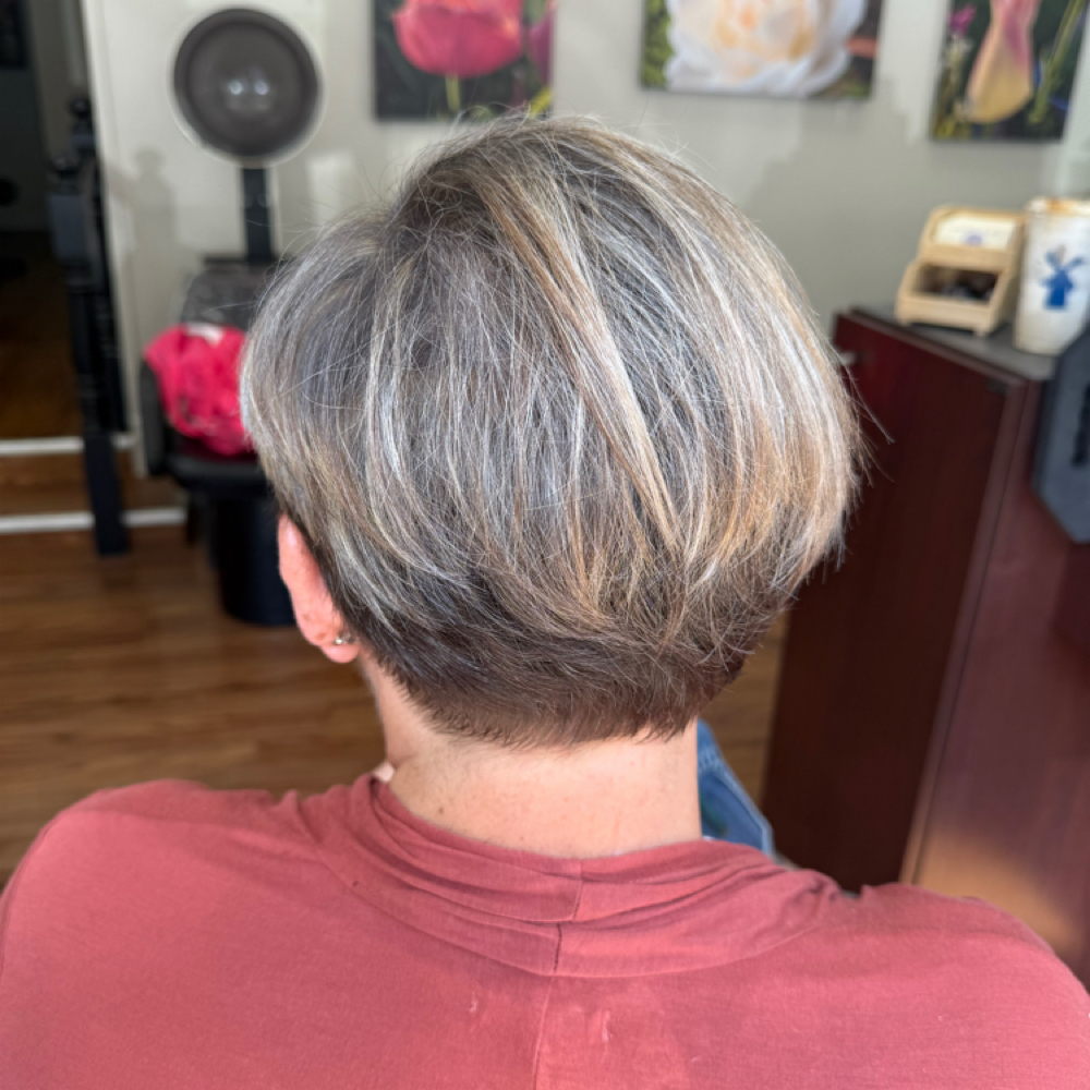 Highlights (Partial) at Talonted Touch By Steph in salem, OR