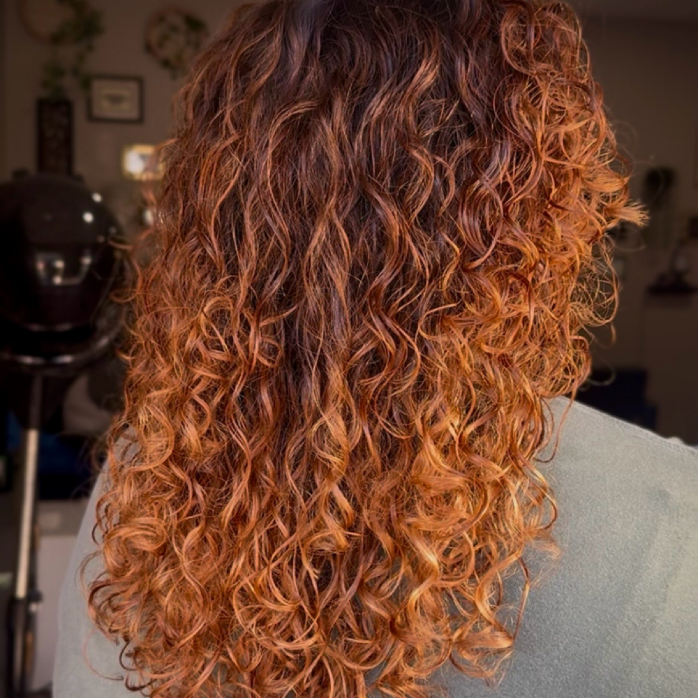 Toner (add-on)☀️ at DARKBAR Salon in Knoxville, TN