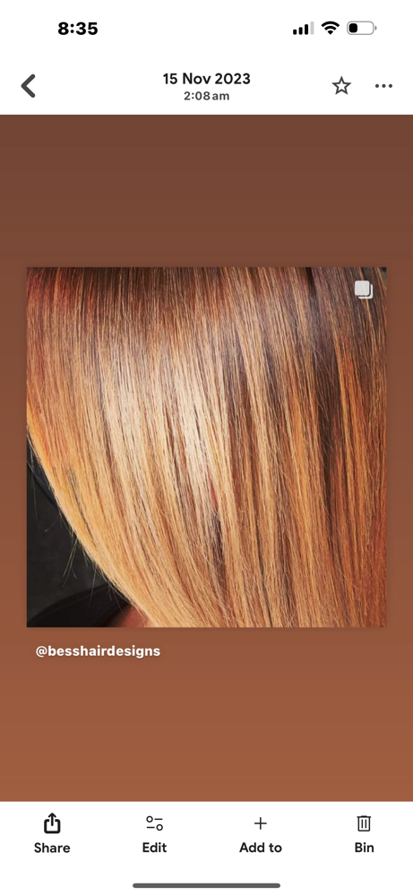 Hair Color Touch Up And Haircut at Besshairdesigns @ The Zooo Hair Salon727-459-8638 in Largo, FL