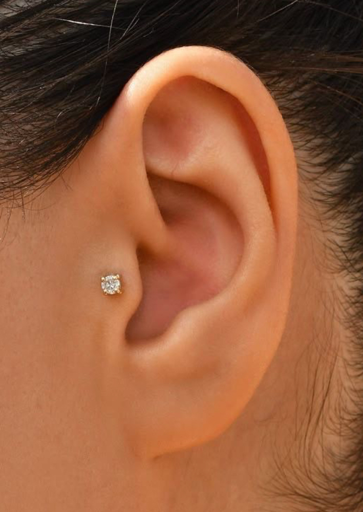 Tragus at Dollface Ink & Piercing in Springdale, AR