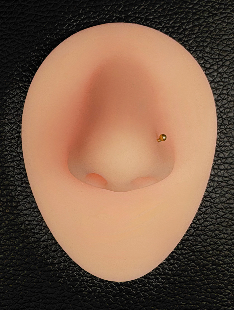 Nostril at Anthem Piercing & Tattoo in North Salt Lake, UT