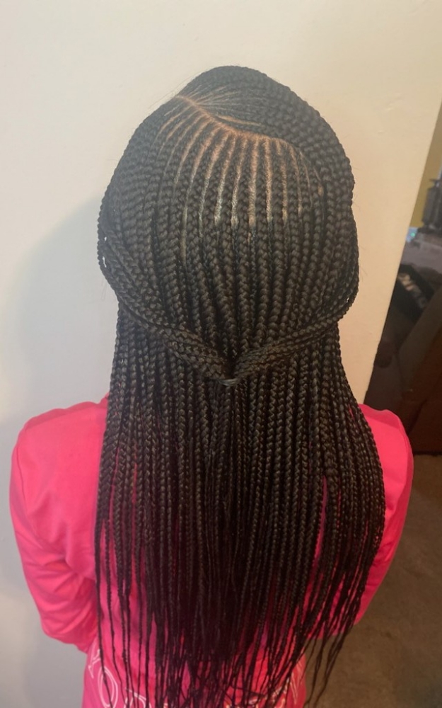Adult 1 Layer Feed-Ins (Small) at Braids By Bri in Nashville, TN