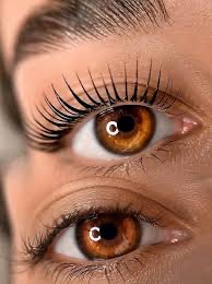 Lash Lift-Tint-Lash Botox Combo