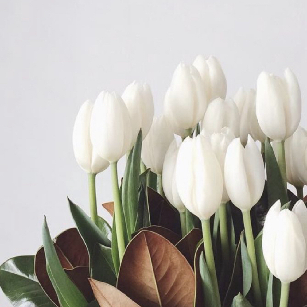 Spring Skin Reset at The Nycole Glow in Southfield, MI