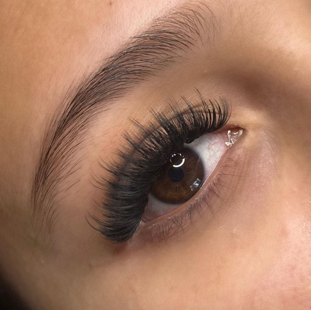 Wispy Volume Fill ( 2 Weeks)