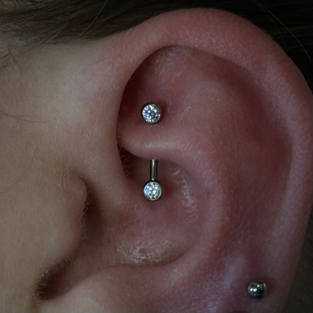 Rook