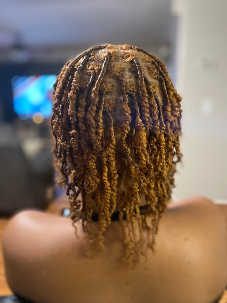 Starter Locs (coils Or two-strand)