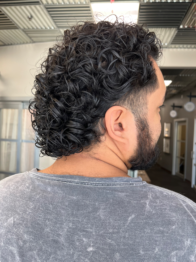 Curly Mens Cut