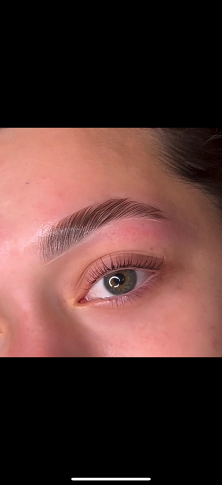 Brow Lamination + Wax at Sydney Surface in Rea Farms, NC