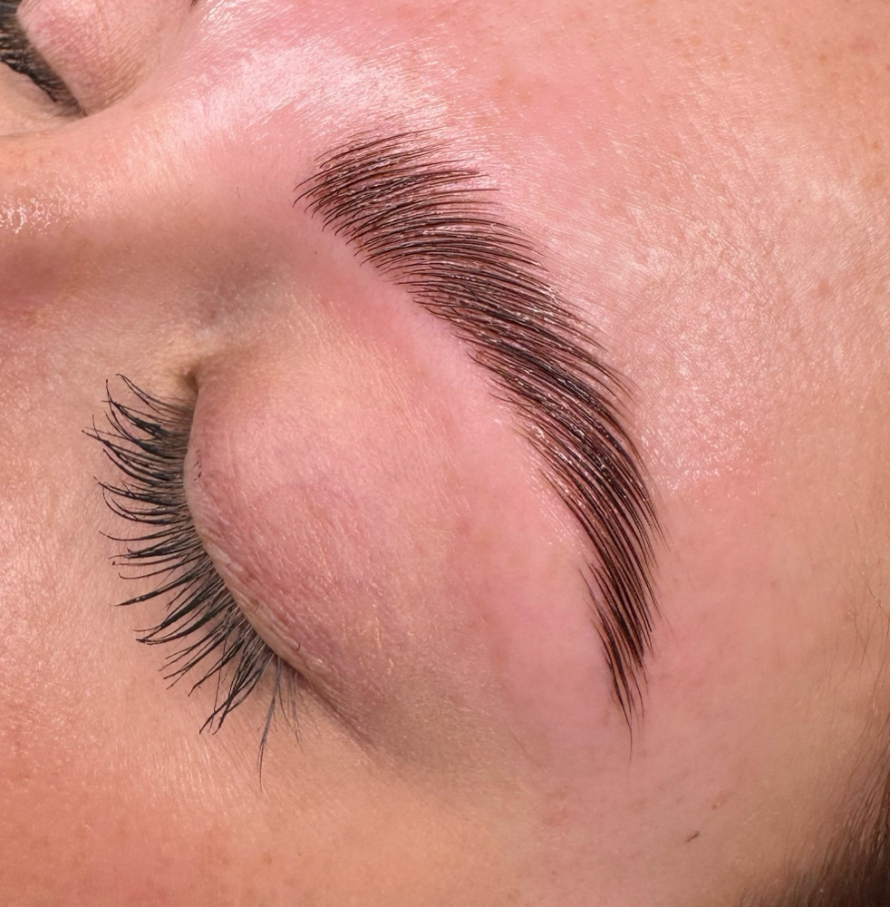 Brow Lamination + Brow Stain