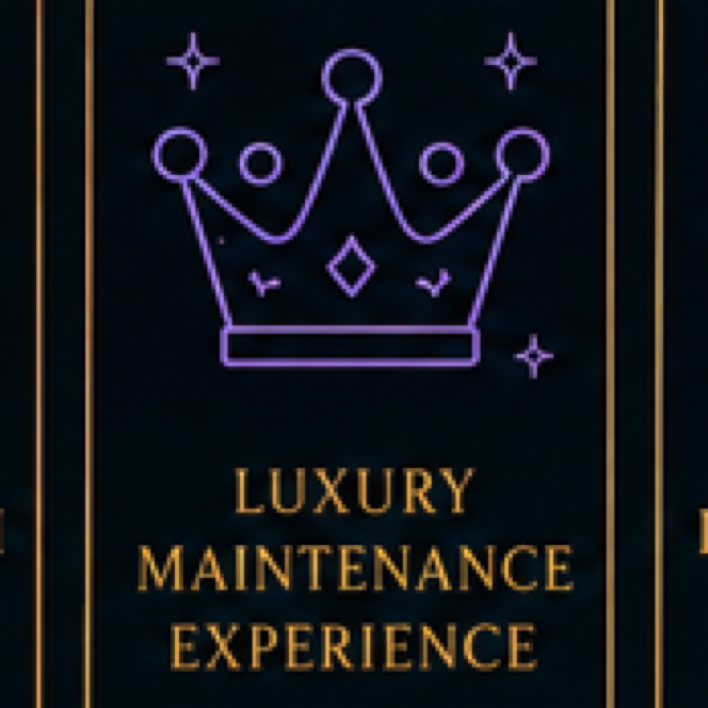 Luxury Maintenance Experience (M) at Grid 913 LLC in Chesapeake, VA