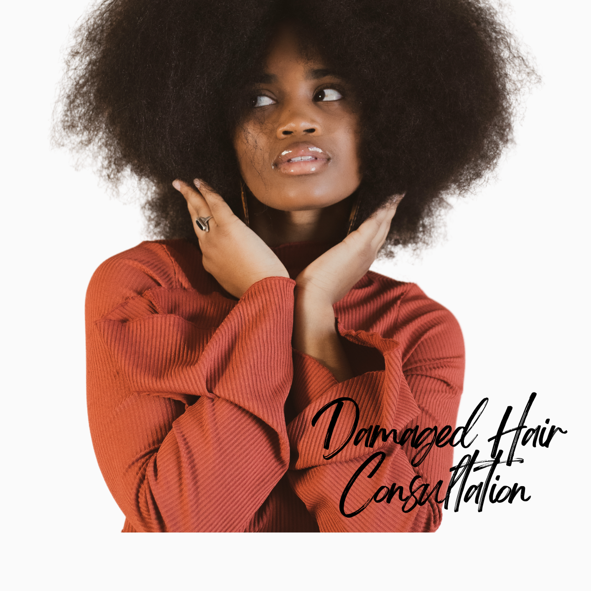 Damaged Hair Consultation