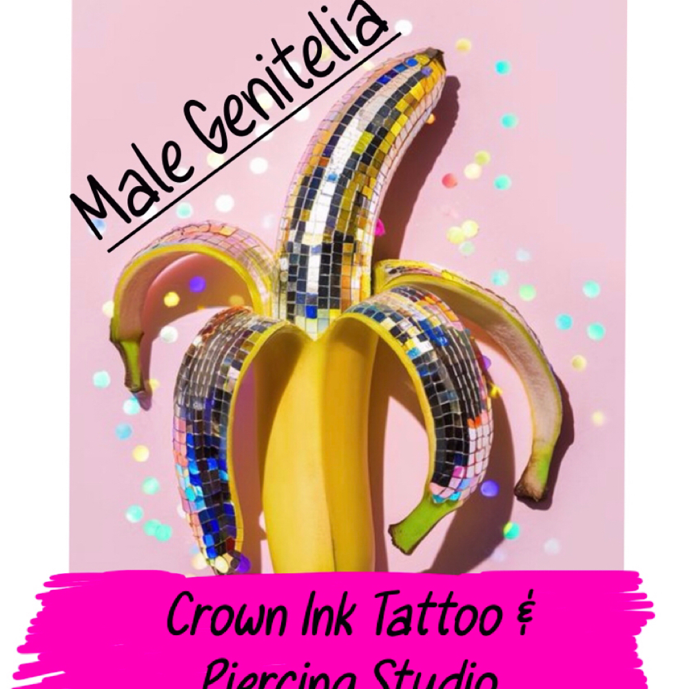 Male Genital at The crown ink studio in Corpus Christi, TX
