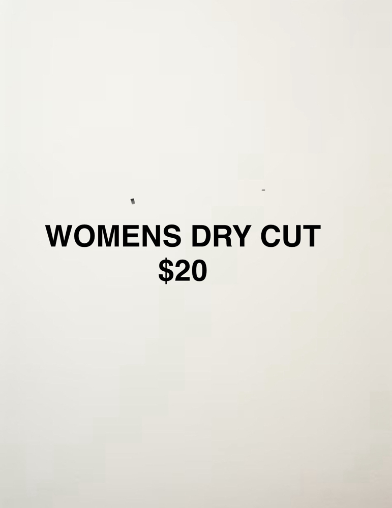 Womens Dry Haircut at Hair By Megan @ Allardt Beauty & Co in Allardt, TN