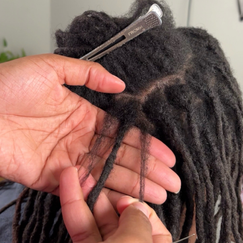 Crochet Loc Maintenance(Root Touch)
