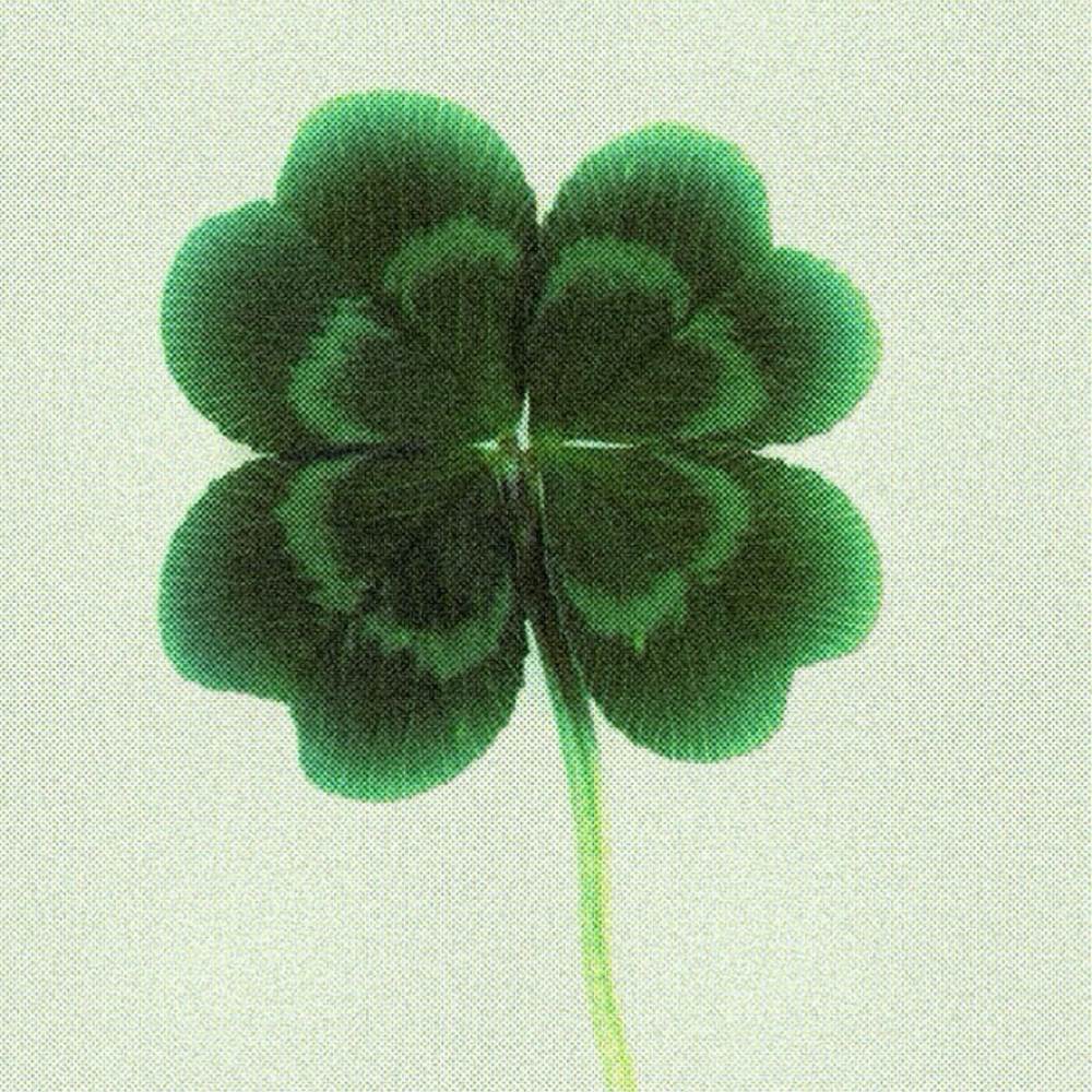 On The Glo + Keratin Lash Lift at Taylor Elizabeth Skin in Pasadena, CA