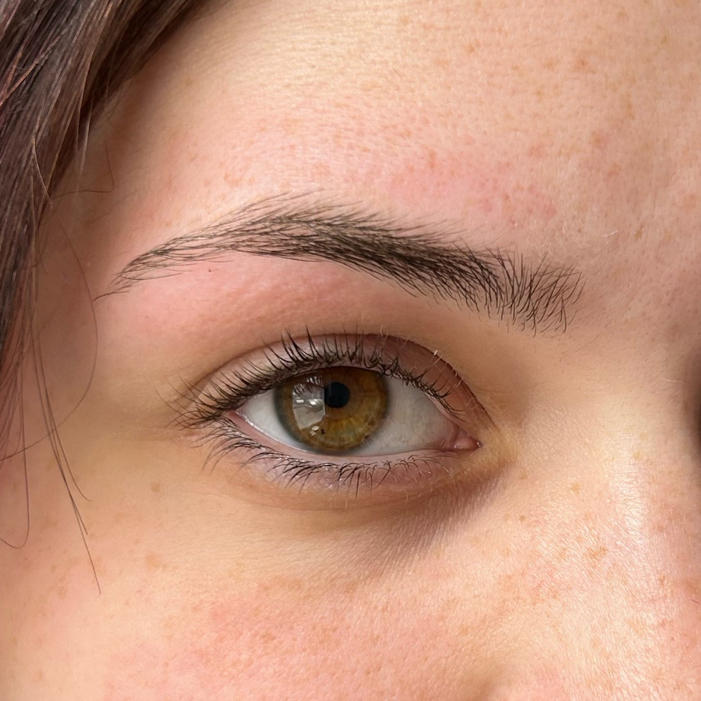 Brow Lamination & Lash Tint