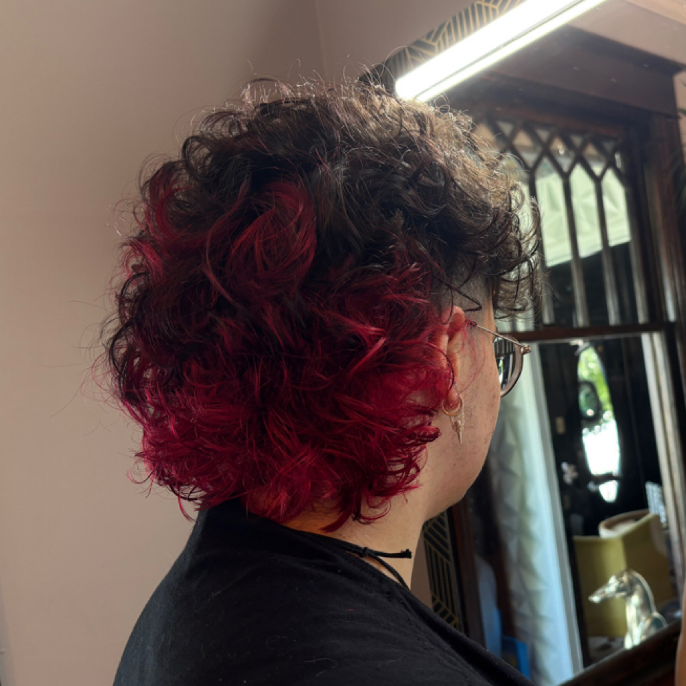 Barber / Dry Cut Maitenance at Aspyn’s Hues in Schenectady, NY