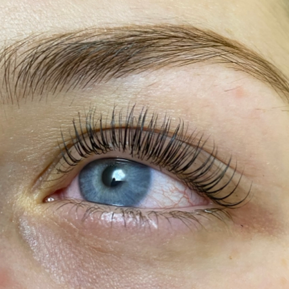 Lash Lift & Tint at Elysian  Escape in Selbyville, DE