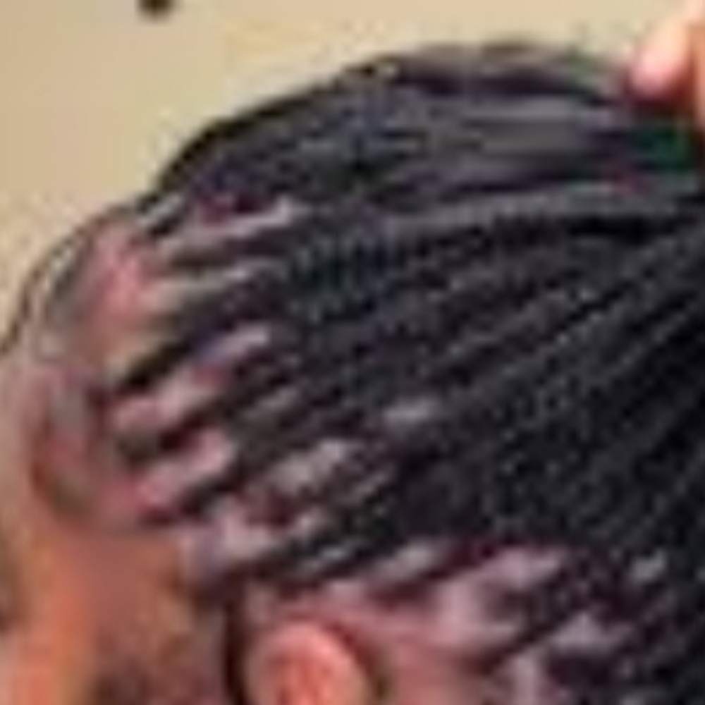 Freestyle (Micro Braids) Small at Lady A's Braids & Weaves Studio LLC in Humble, TX