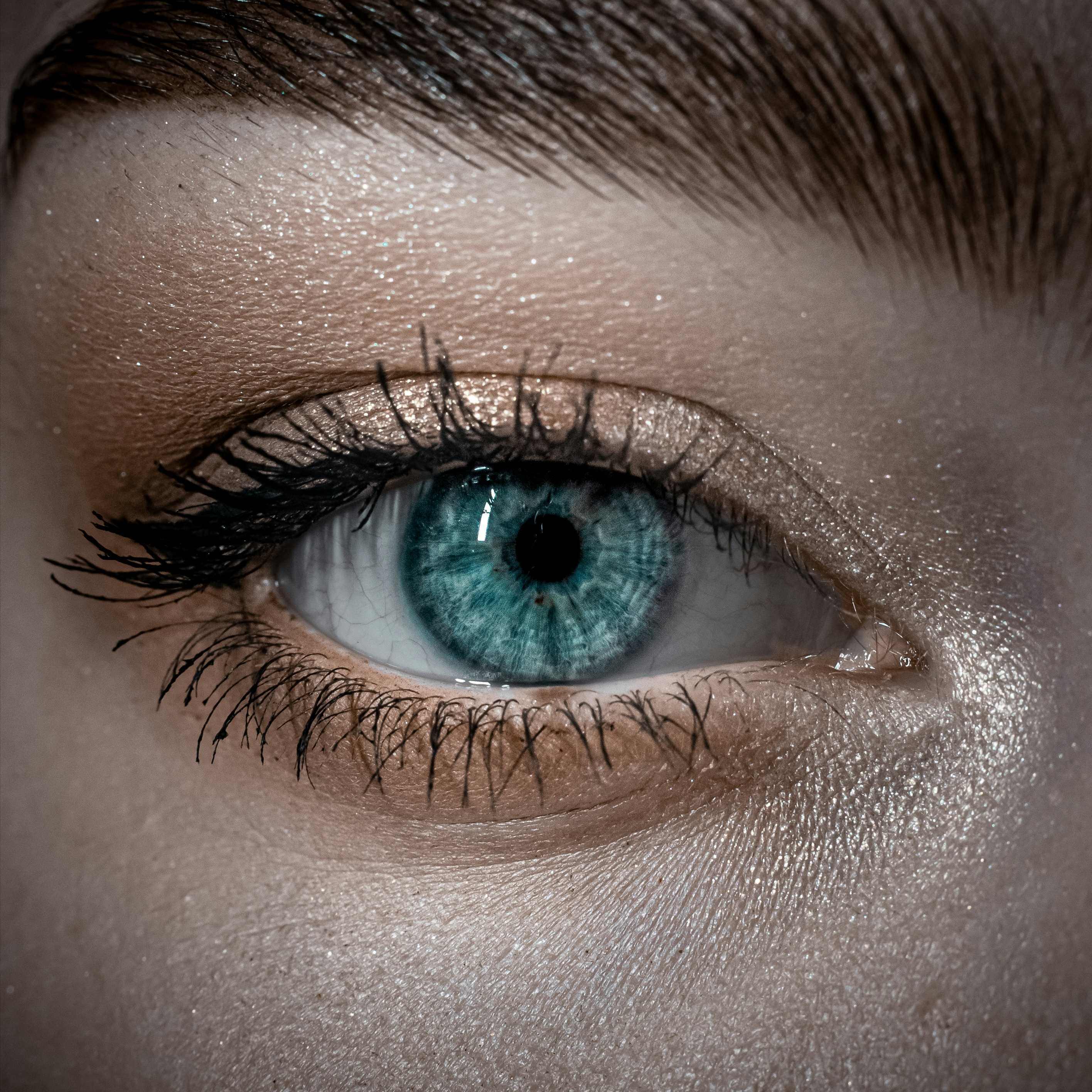 Lash lift at Golden Dragonfly Skin Co. in Port Royal, SC