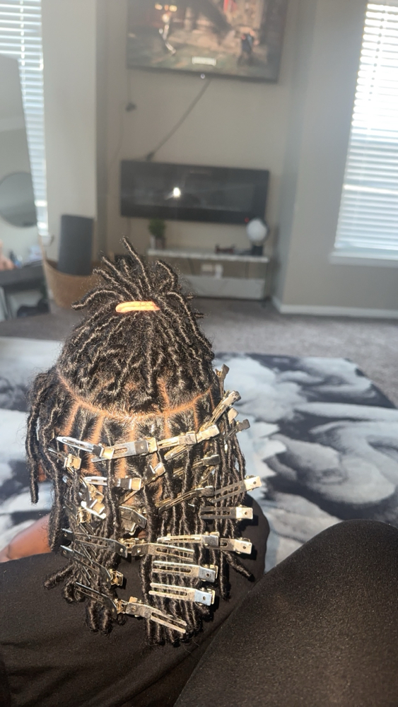 Starter Locs