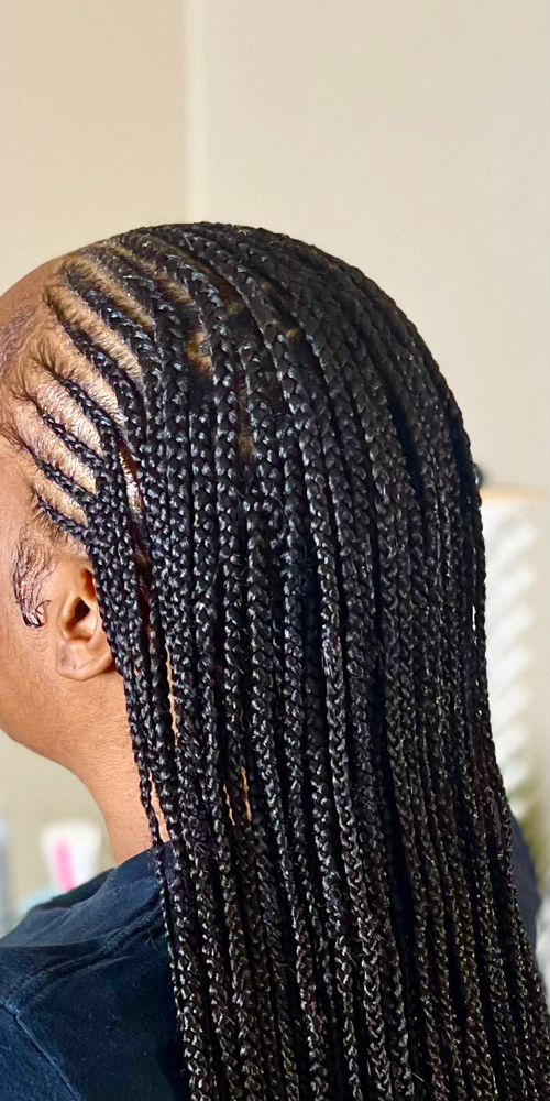 Fulani Braids - Smedium Knotless