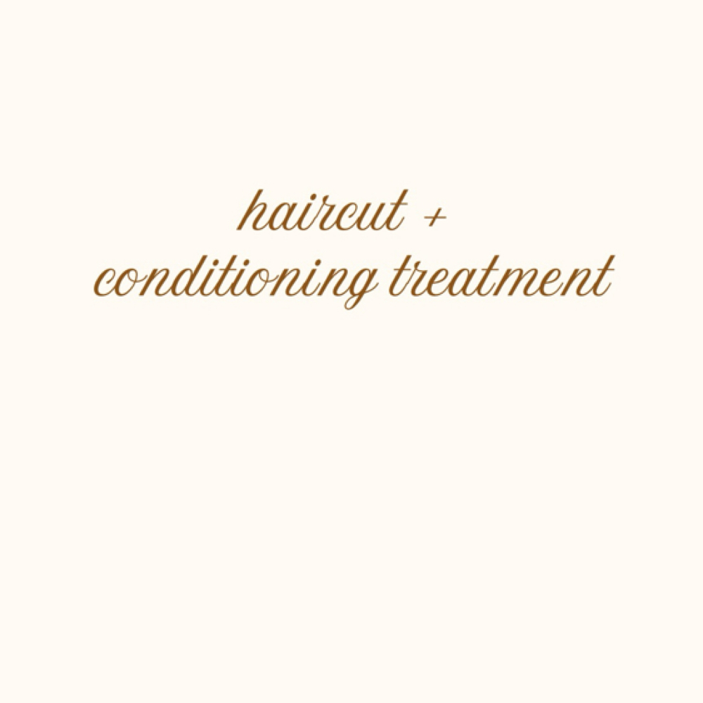 haircut + conditioning treatment at Haley Gabriel Hair in Round Rock, TX