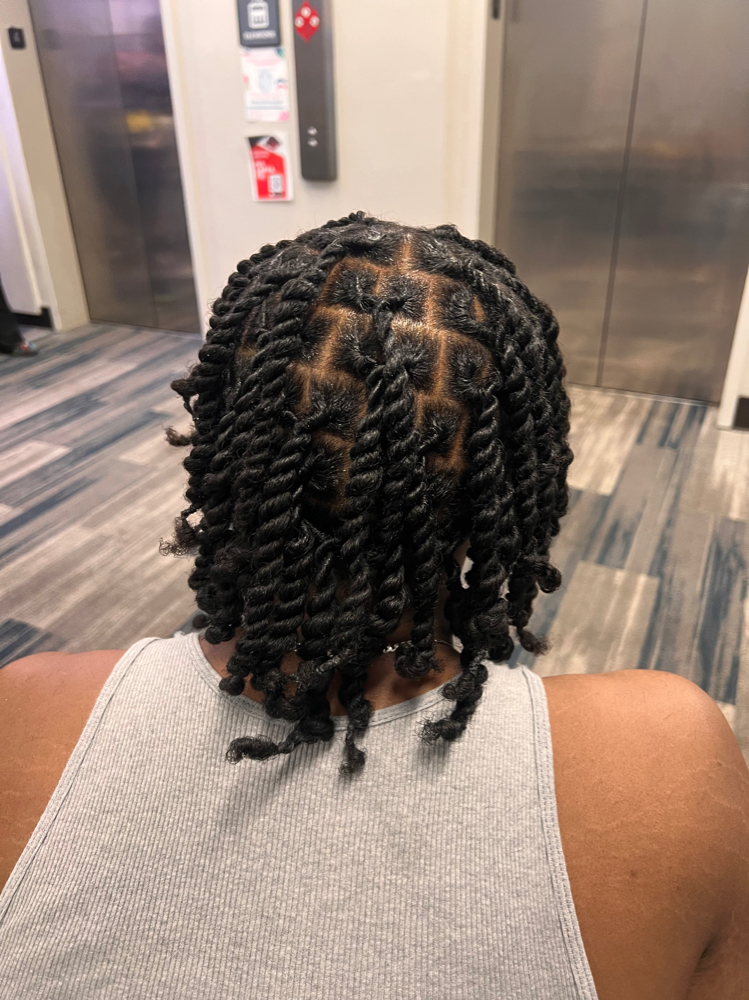 2 Strand Twist