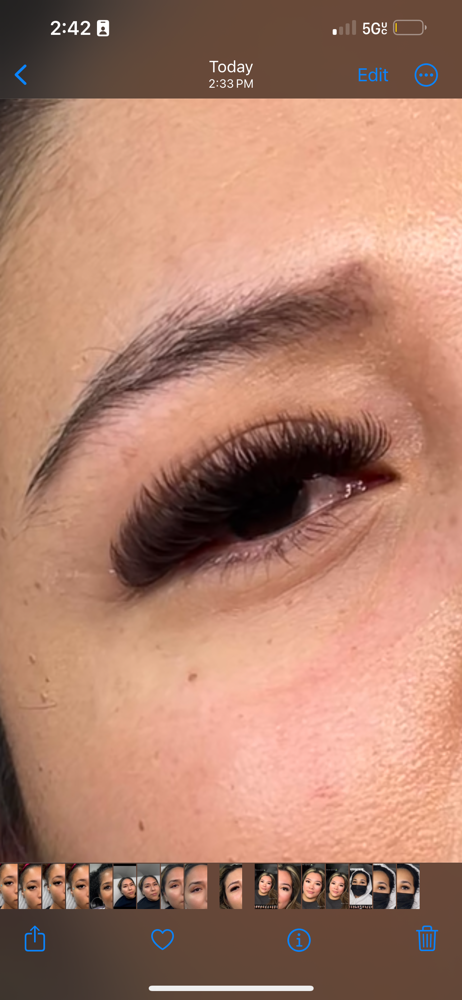 Brown Volume Fill