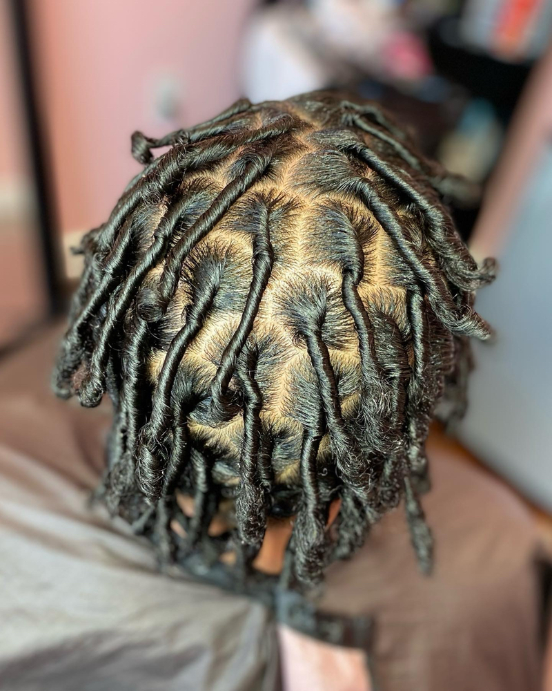 Medium Starter Locs w/ Coils at LUXE HAIR CARE in Mesquite, TX