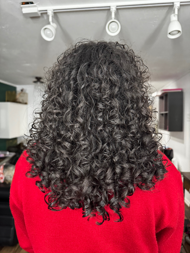 Curly Haircut at Toriirose Hair Artistry in San Antonio, TX