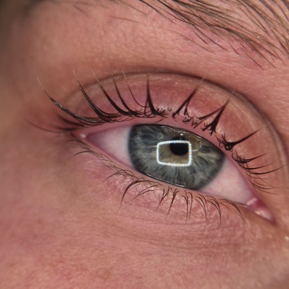Lash Lift (only) at Nevaeh Beauty & Brows in Dayton, OH