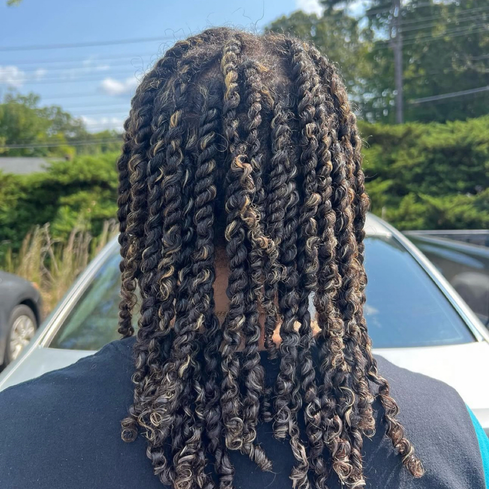2 Strand Twist (Long hair) at The Oasis Natural Hair Salon in Gibsonville, NC