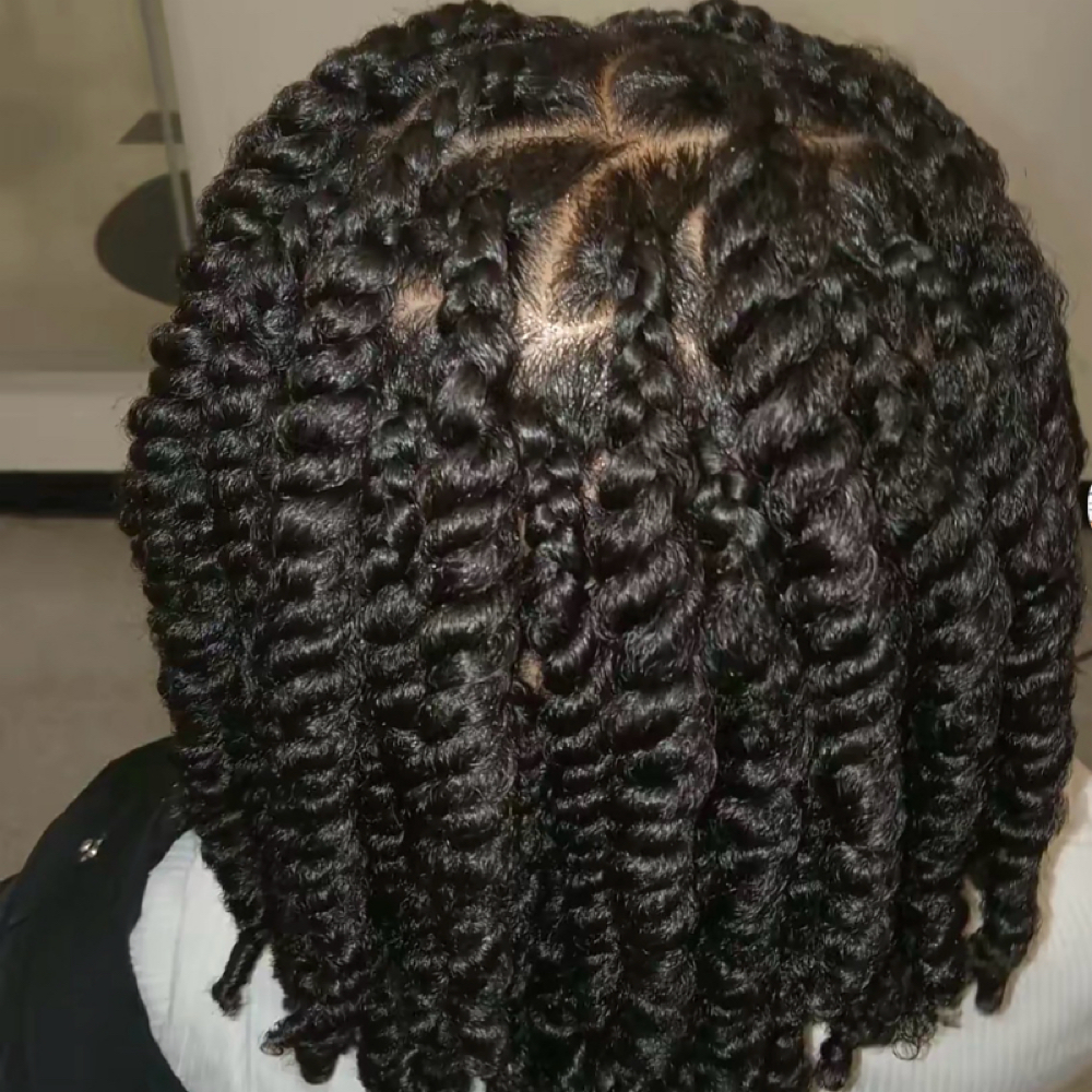 2 Strand Twist (Long hair) at The Oasis Natural Hair Salon in Gibsonville, NC