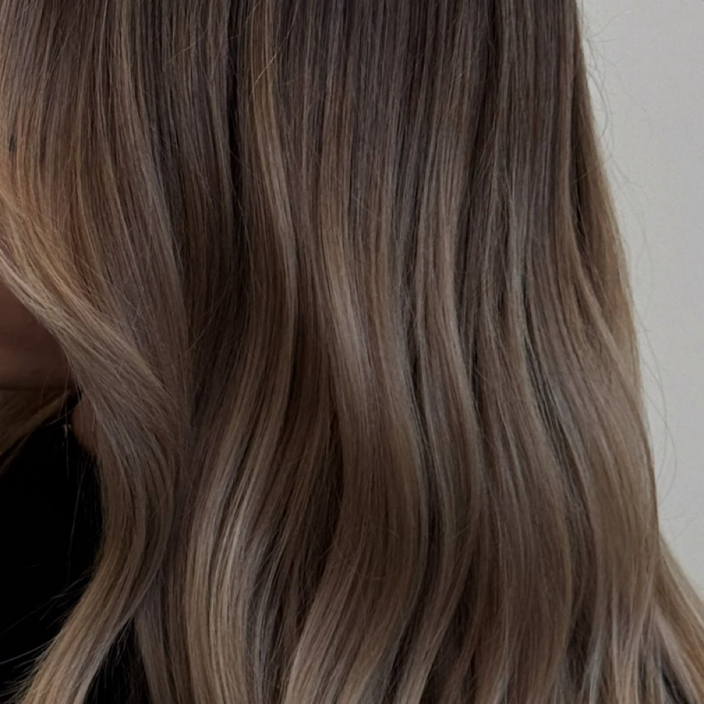 Mini Move Up at Modern & Mane Salon in Denver, CO