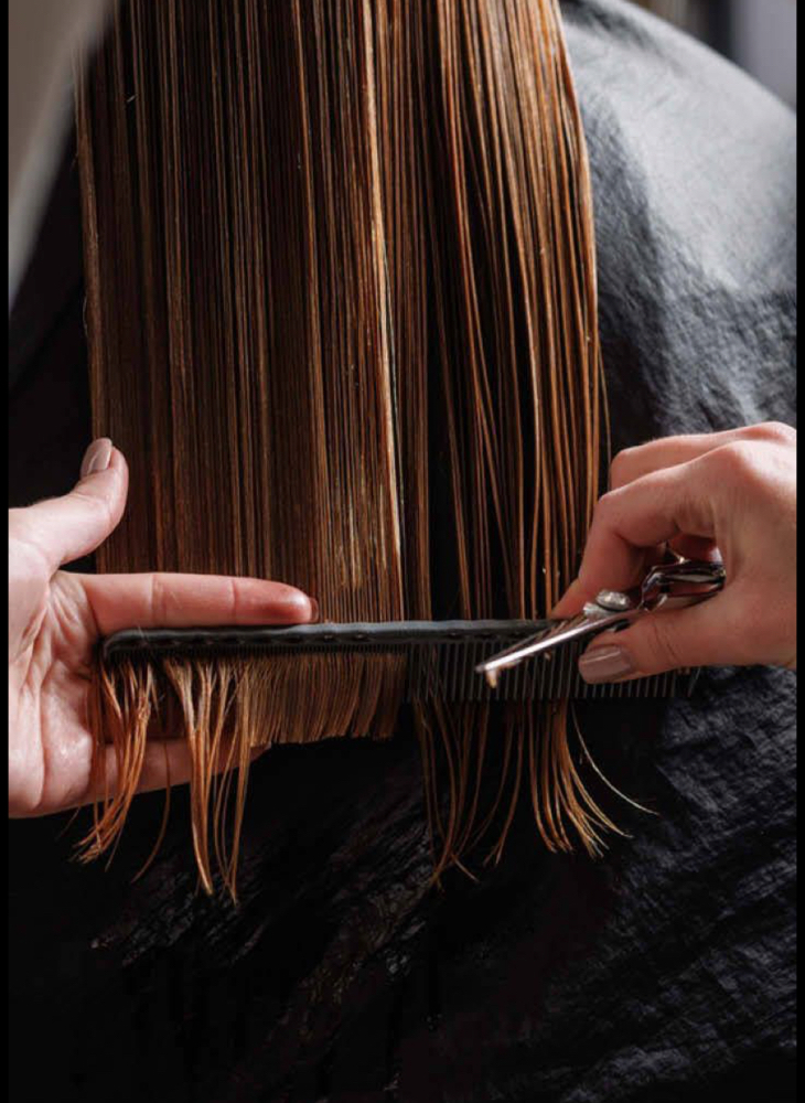 Women's Haircut at Revere Salon and Spa in Westerville, OH