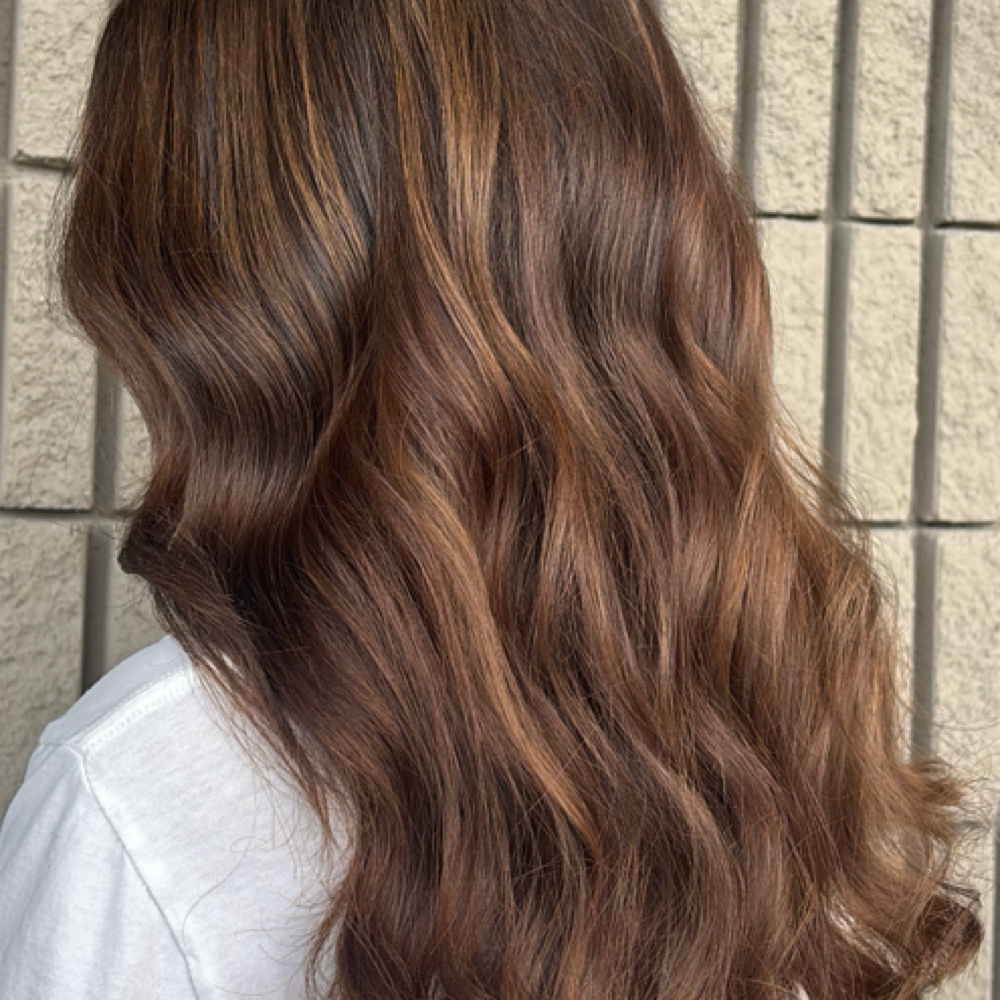 Gloss/ Toner at Ayelin Beauty in Algonquin, IL