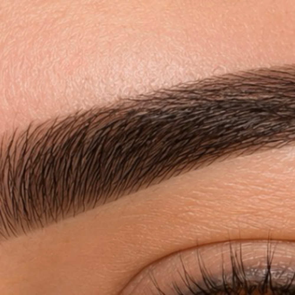Brow Shaping + Tint at THELUXSTUDIO in Bunnell, FL